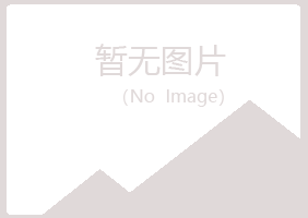 阳江夏岚媒体有限公司